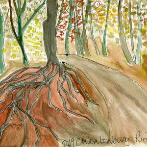 Chantonbury Ring
