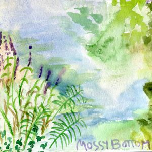 Mossy Bottom