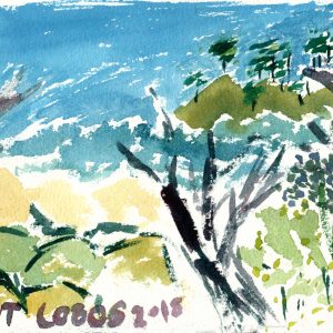 Point Lobos