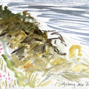 Anglesey Beach Rocks