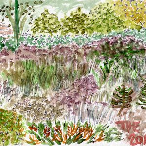 The Bog